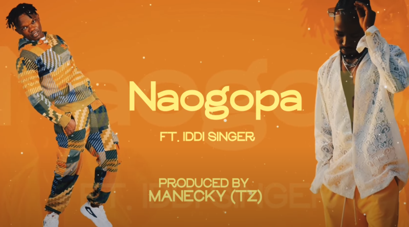 Echo 254 Ft Iddi Singer - Naogopa